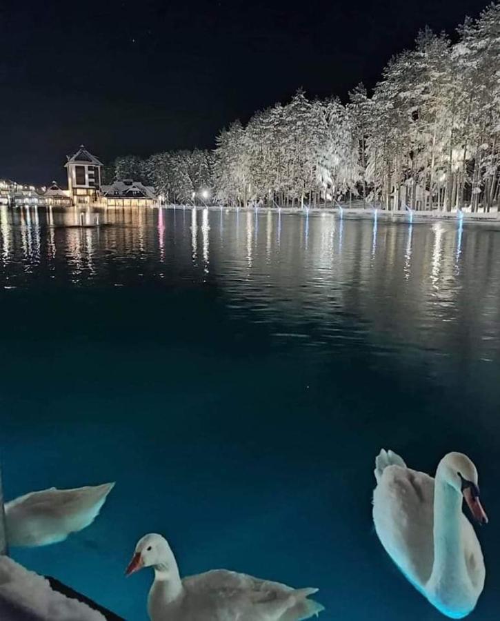 Appartamento Kraljevi Konaci Olja Zlatibor Esterno foto